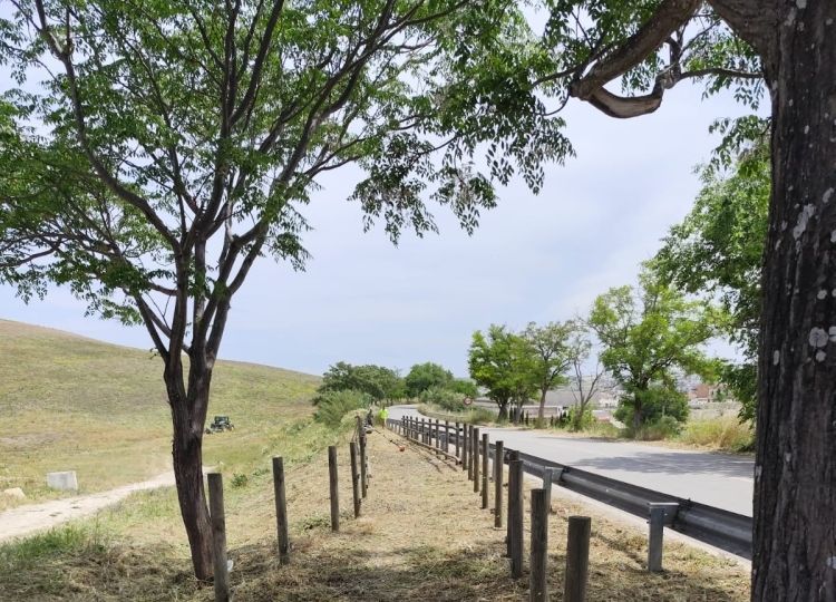 via verde nueva