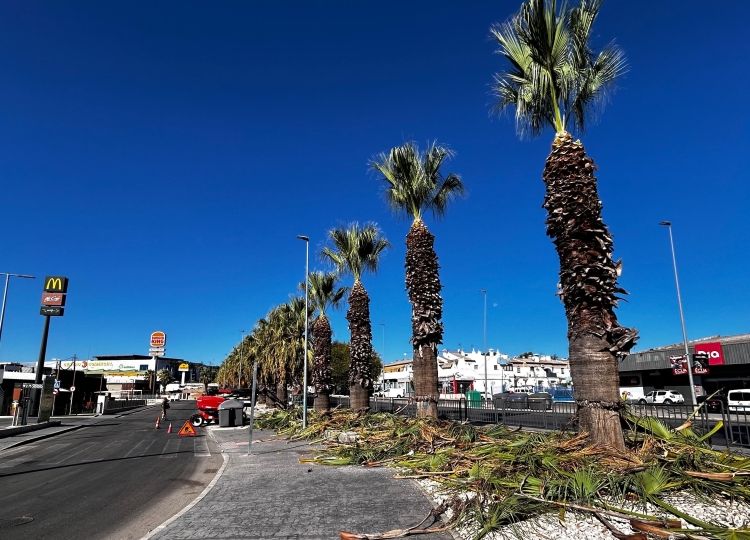medio_ambiente_adecenta_los_alrededores_del_recinto_ferial_
