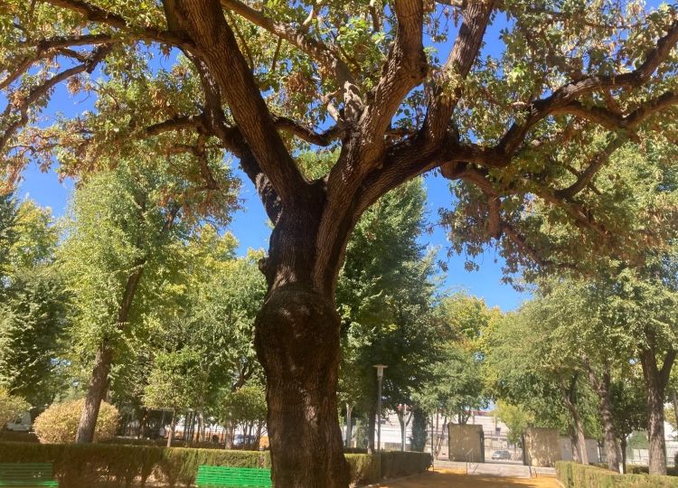 reabierto_el_parque_junto_al_polideportivo_del_valle_para_el_disfrute_de_la_barriada_