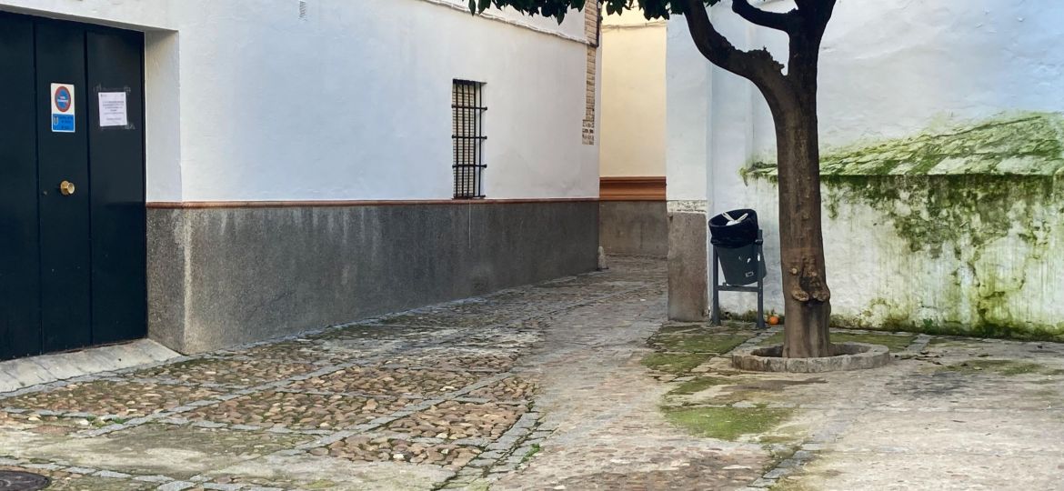 Obras PFEA Santa Catalina