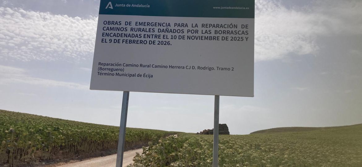 Camino Borregueros