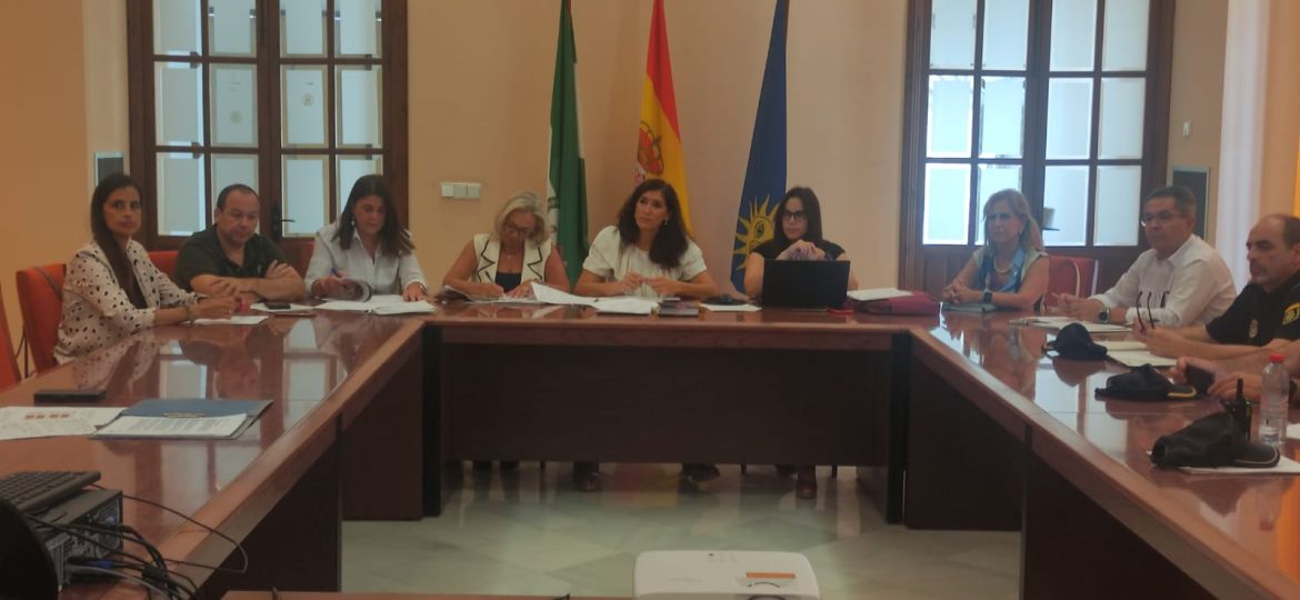 Junta Local de Seguridad (6)